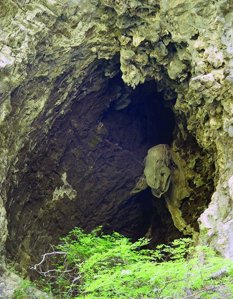 黃圍山