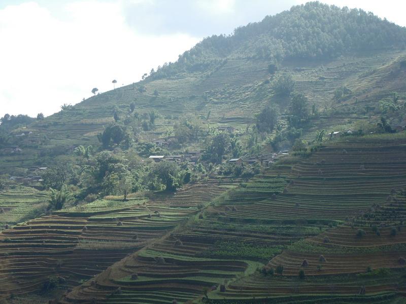 迤龍洞村