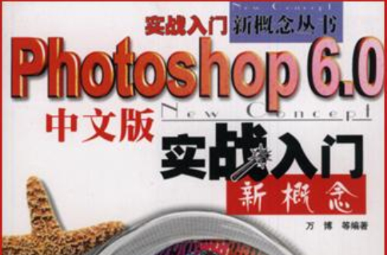 Photoshop 6.0中文版實戰入門新概念