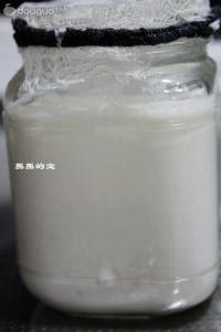 雪蓮菌版自製優酪乳西瓜奶昔