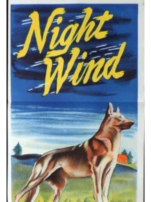 Night Wind(美國1948年James Tinling執導的電影)