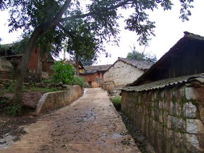 臘寨一村-村中通路