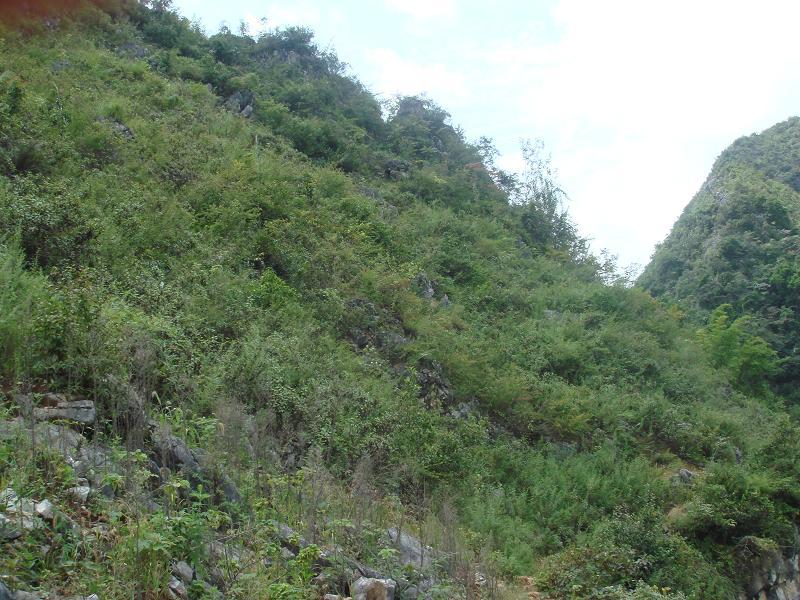 乾溝自然村(雲南省臨滄市鎮康縣木場鄉乾溝自然村)