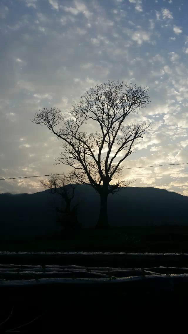 田心景觀圖