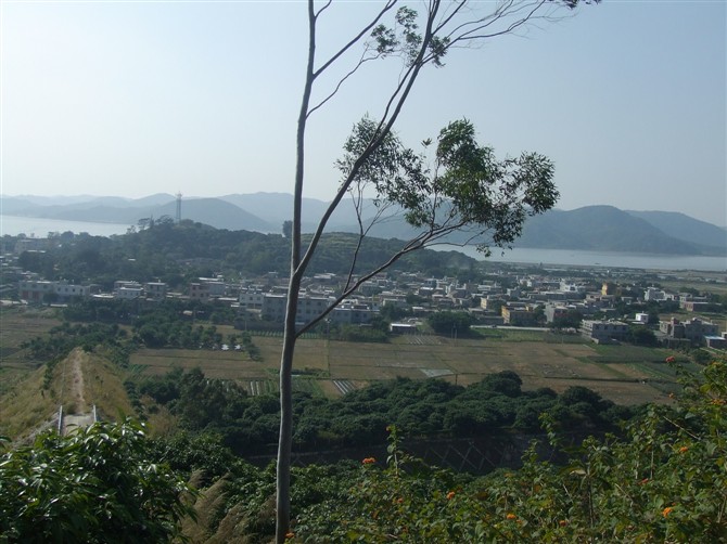 白衣村(福建省漳州市漳浦縣沙西鎮下轄村)