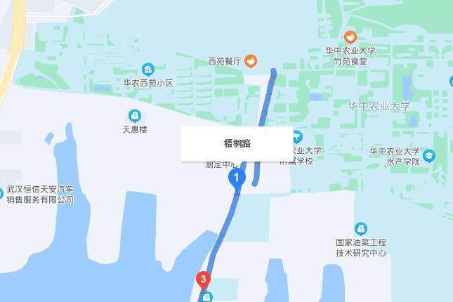 梧桐路(武漢市梧桐路)