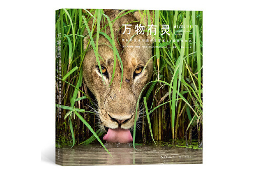 萬物有靈：國際野生生物攝影年賽第54屆獲獎作品