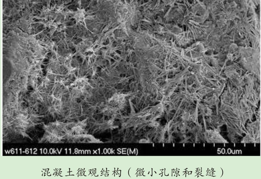 混凝土微觀結構（微小孔隙和裂縫）