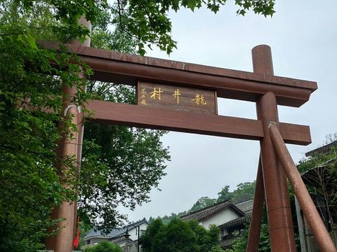 龍井村(廣西壯族自治區貴港市港北區港城街道下轄村)