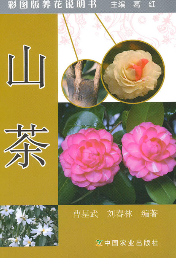 彩圖版養花說明書：山茶