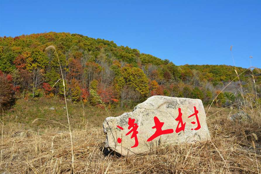 淨土村(遼寧省清原縣下轄村)