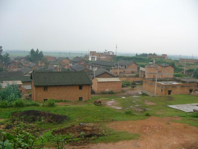 壩東村(雲南省曲靖市陸良縣板橋鎮壩東村)