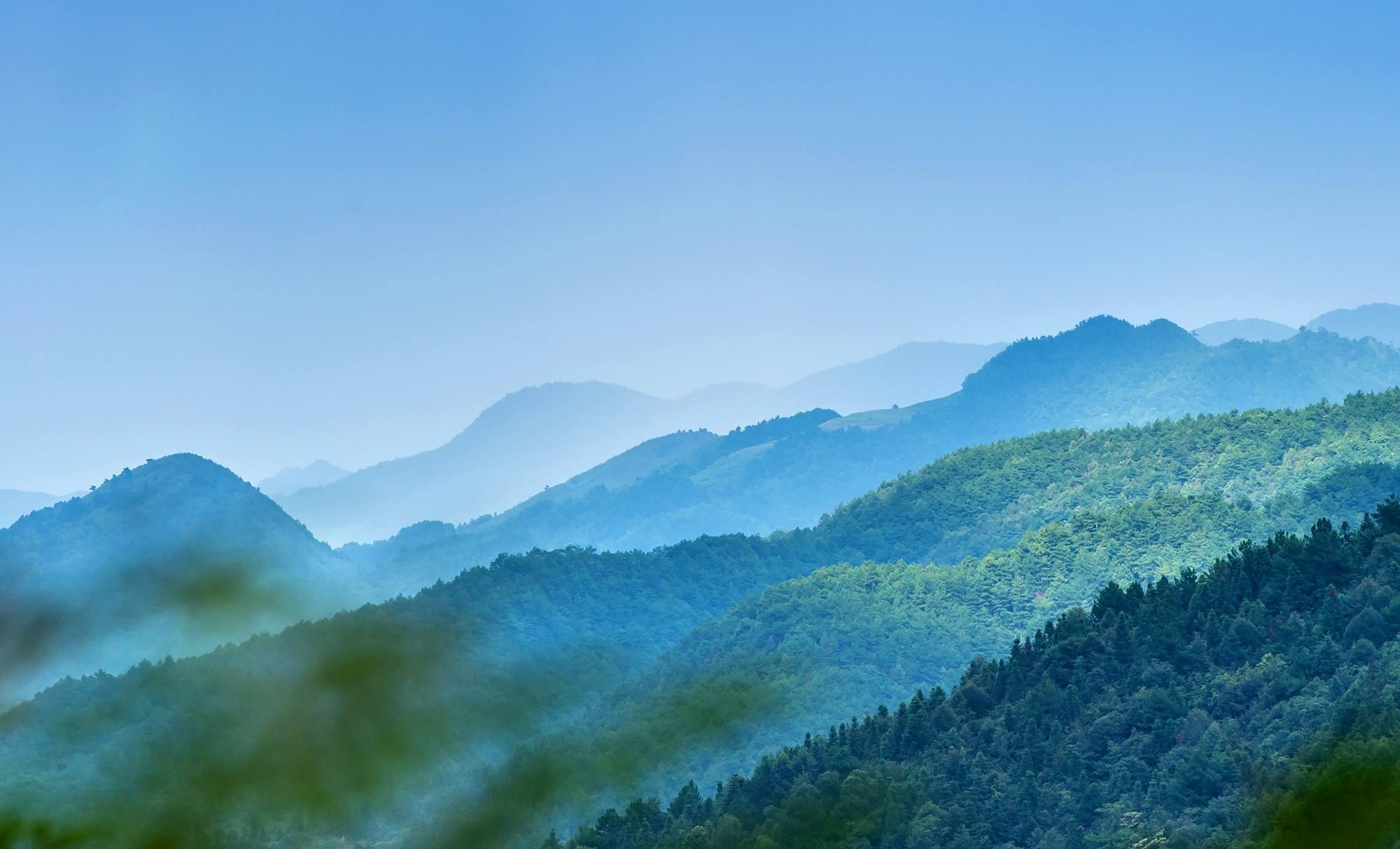 貴州佛頂山國家級自然保護區