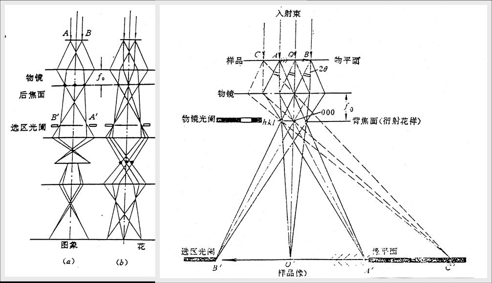 選區電子衍射