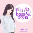 豪門小妻子：boss大人等等我