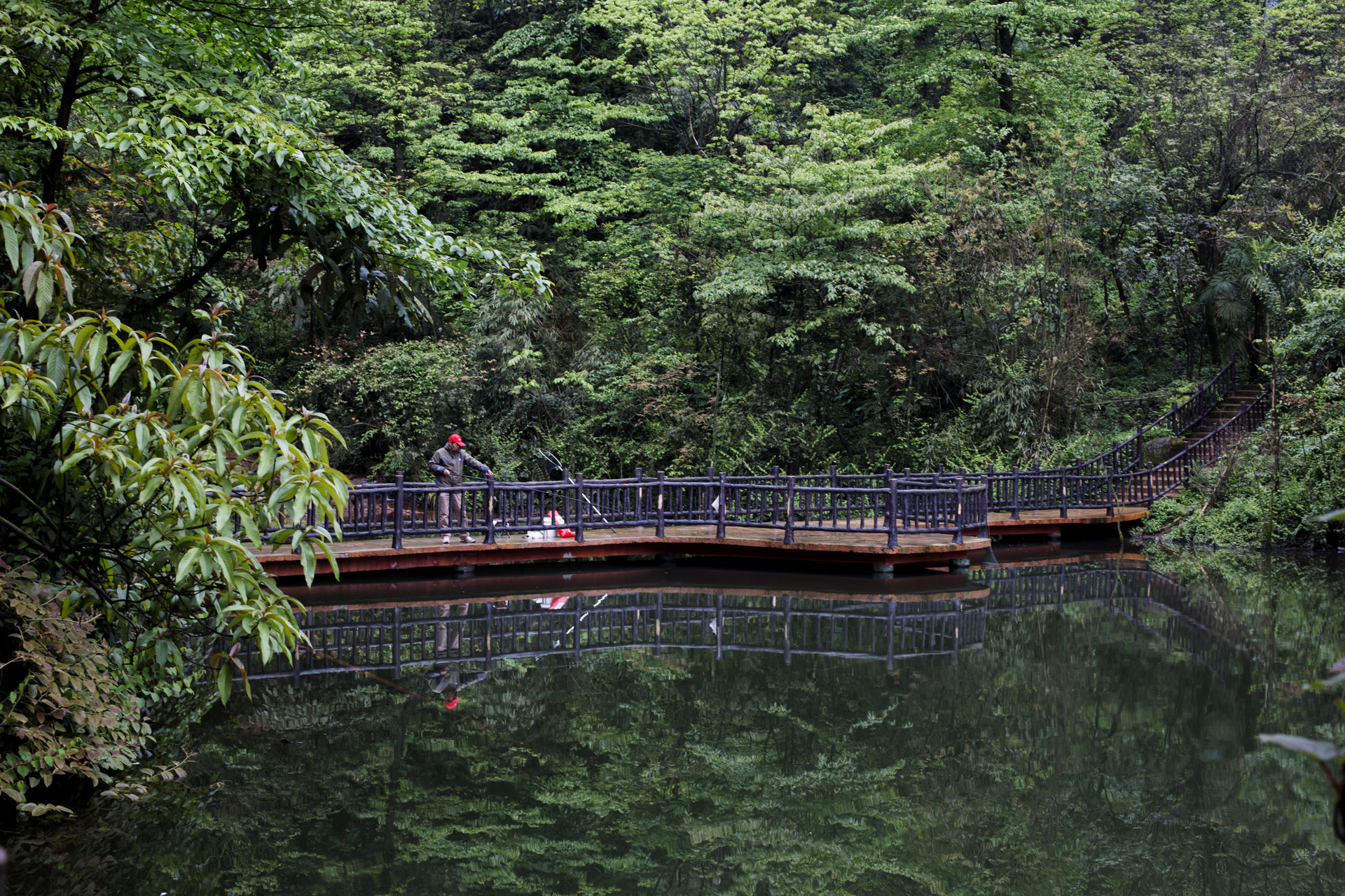 恆信·天鵝堡森林公園