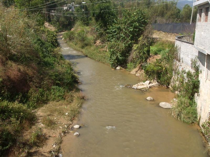 青樹村