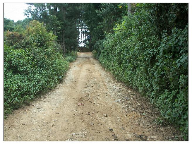 雲南省龍陵縣臘勐鄉大埡口村進村道路