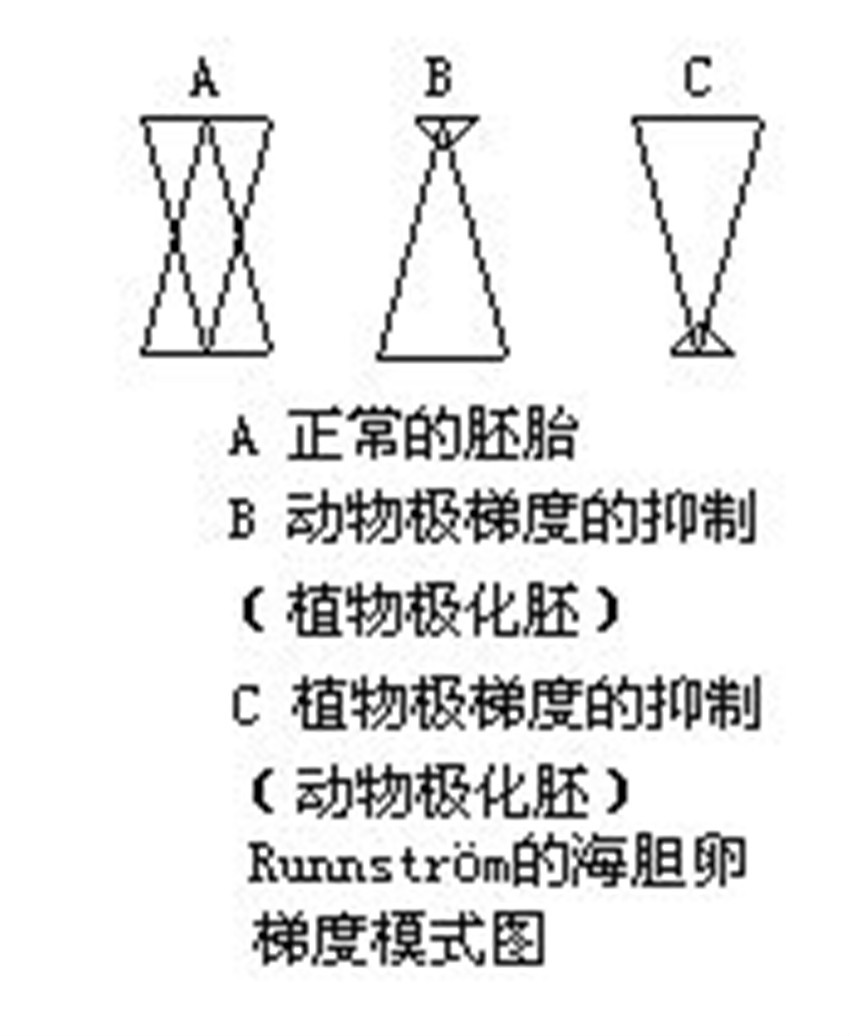 雙重梯度說