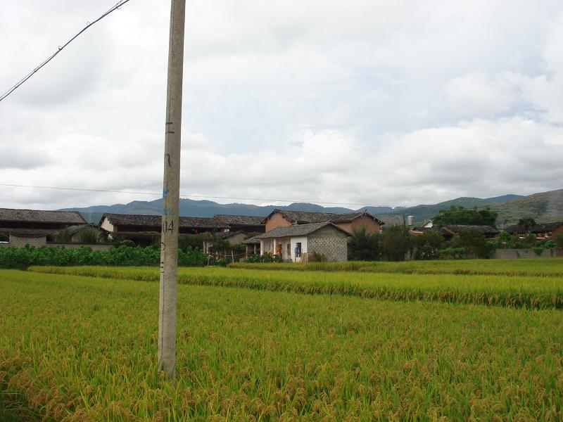 常村自然村概貌