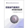 低阻油氣藏測井評價技術及套用/中國石油勘探工程技術攻關叢書