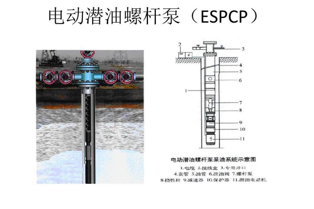 電潛螺桿泵