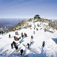 龍平滑雪場