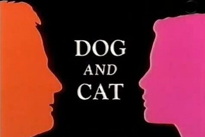 Dog and Cat