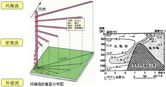 垂直洋流