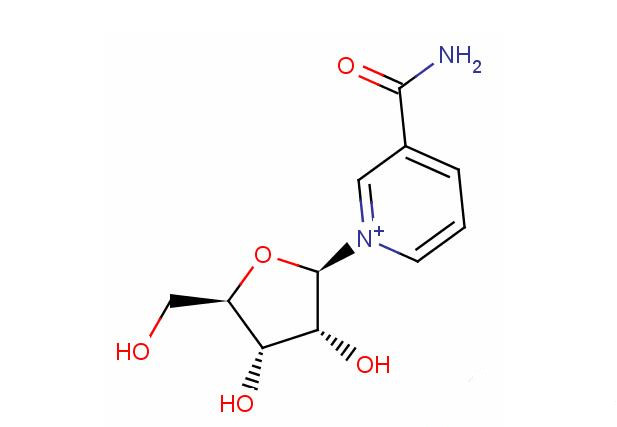 煙醯胺核糖