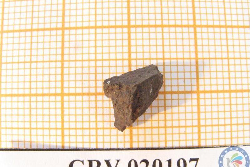 南極隕石GRV020197