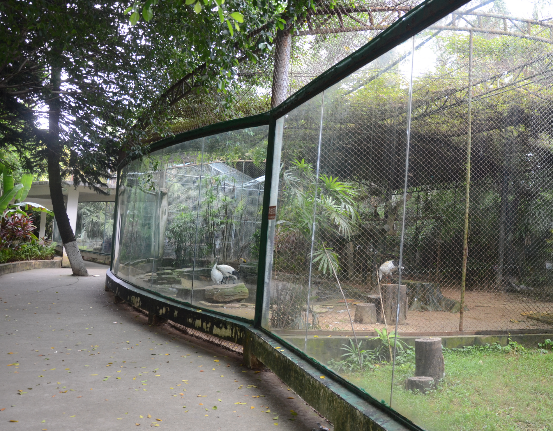 南寧動物園(南寧市動物園)