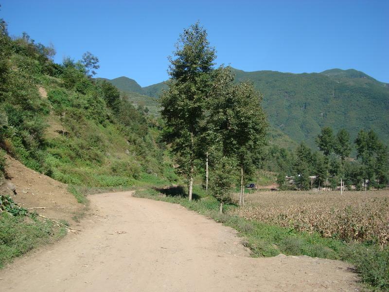 五寨村(雲南省昭通昭陽區盤河鄉五寨村)