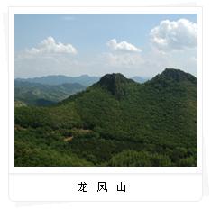 龍鳳山(甘肅武都龍鳳山)