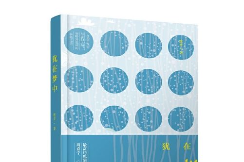 猶在夢中(2016年上海人民出版社出版的圖書)