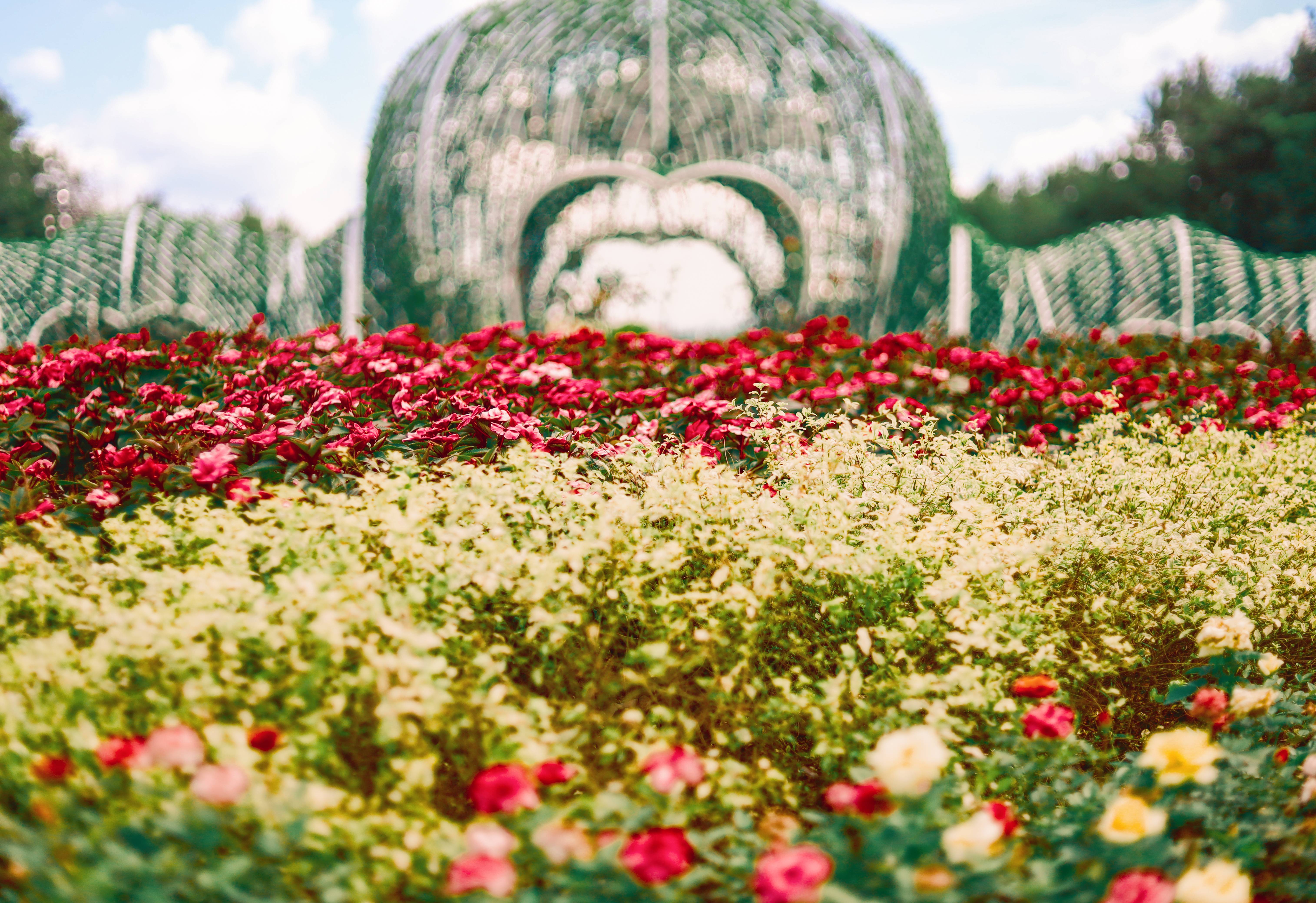 花山世界