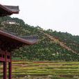 應天寺(四川省成都市雙流縣寺廟)