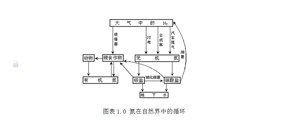 水中氮