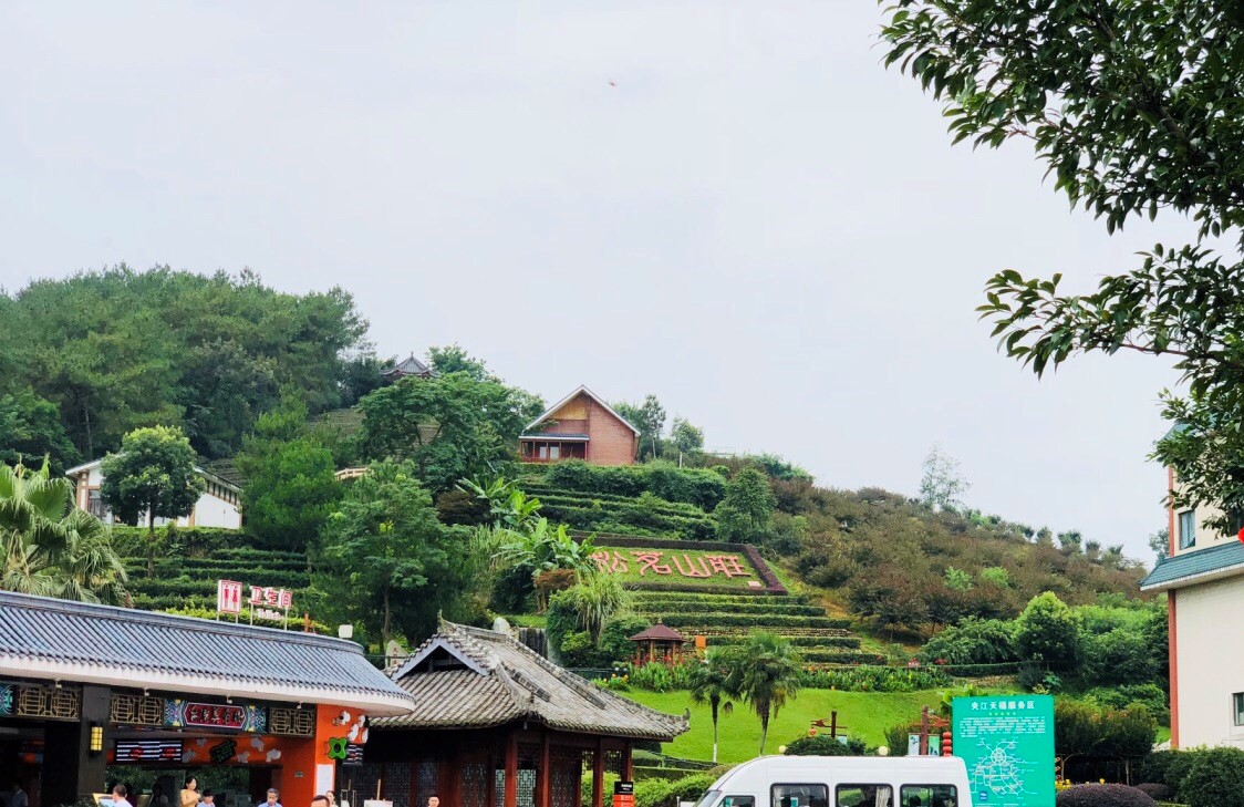 天福觀光茶園