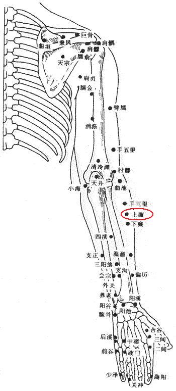 上廉穴