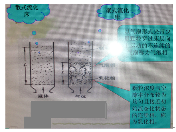 圖2 兩種流化床示意圖