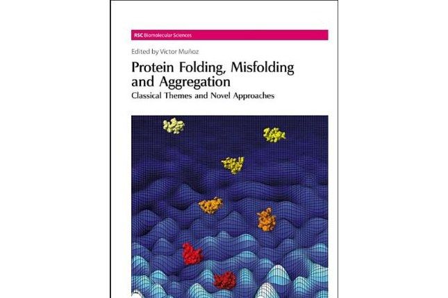 Protein Folding, Misfolding and Aggregation