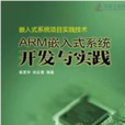 嵌入式系統項目實踐技術：ARM嵌入式系統開發與實踐