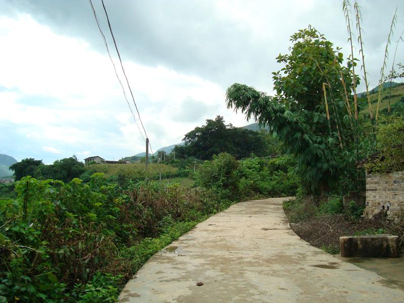 灣甸村進村道路