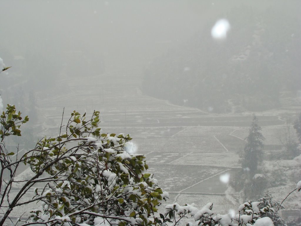 資山村