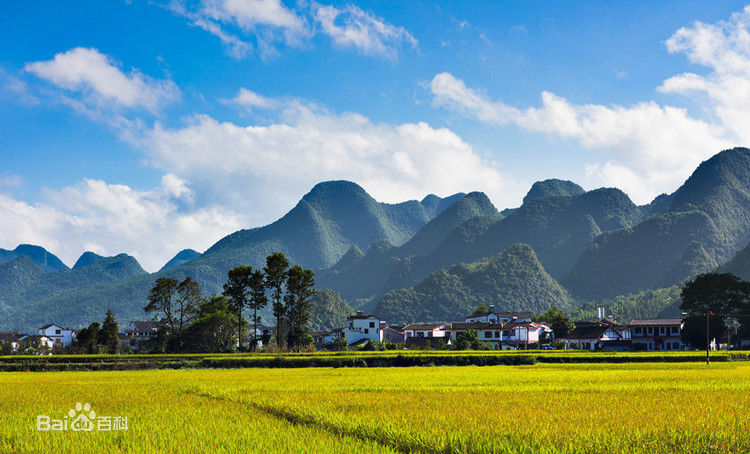 東峰林景區