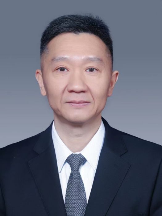 梁辰(武漢大學中南醫院副院長)