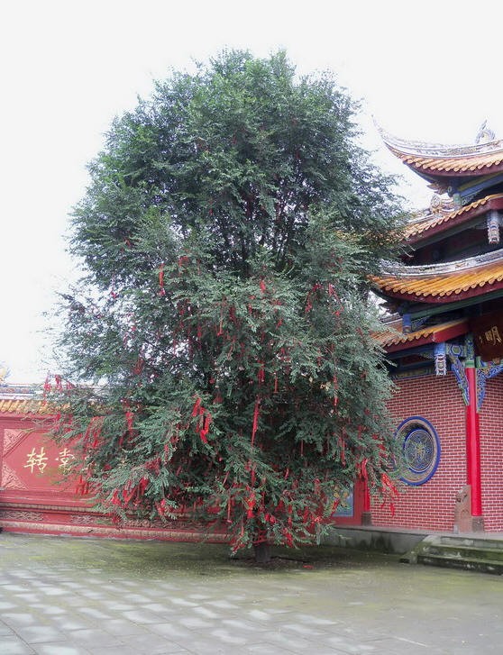 榮縣白雲寺