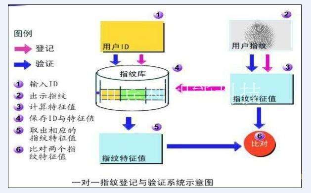 指紋匹配技術