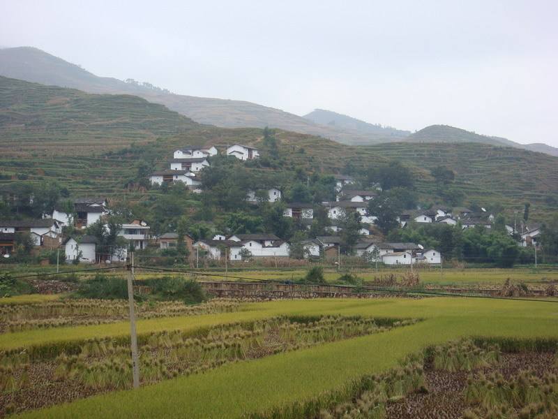 張家村(雲南省會澤縣迤車鎮張家村)